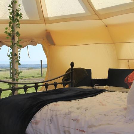 Tal-Y-Fan Farm 6M Stargazer Tent 布里真德 外观 照片