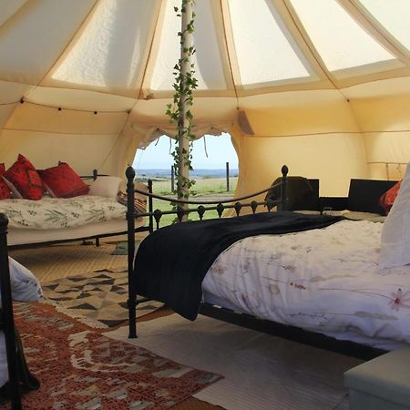 Tal-Y-Fan Farm 6M Stargazer Tent 布里真德 外观 照片