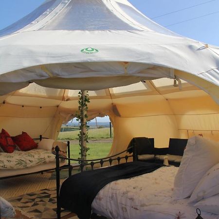 Tal-Y-Fan Farm 6M Stargazer Tent 布里真德 外观 照片