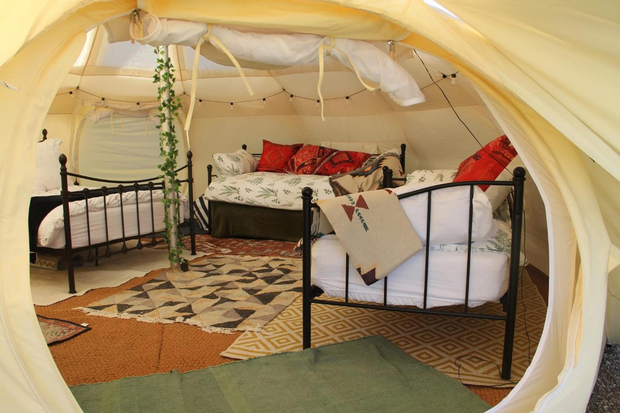 Tal-Y-Fan Farm 6M Stargazer Tent 布里真德 外观 照片