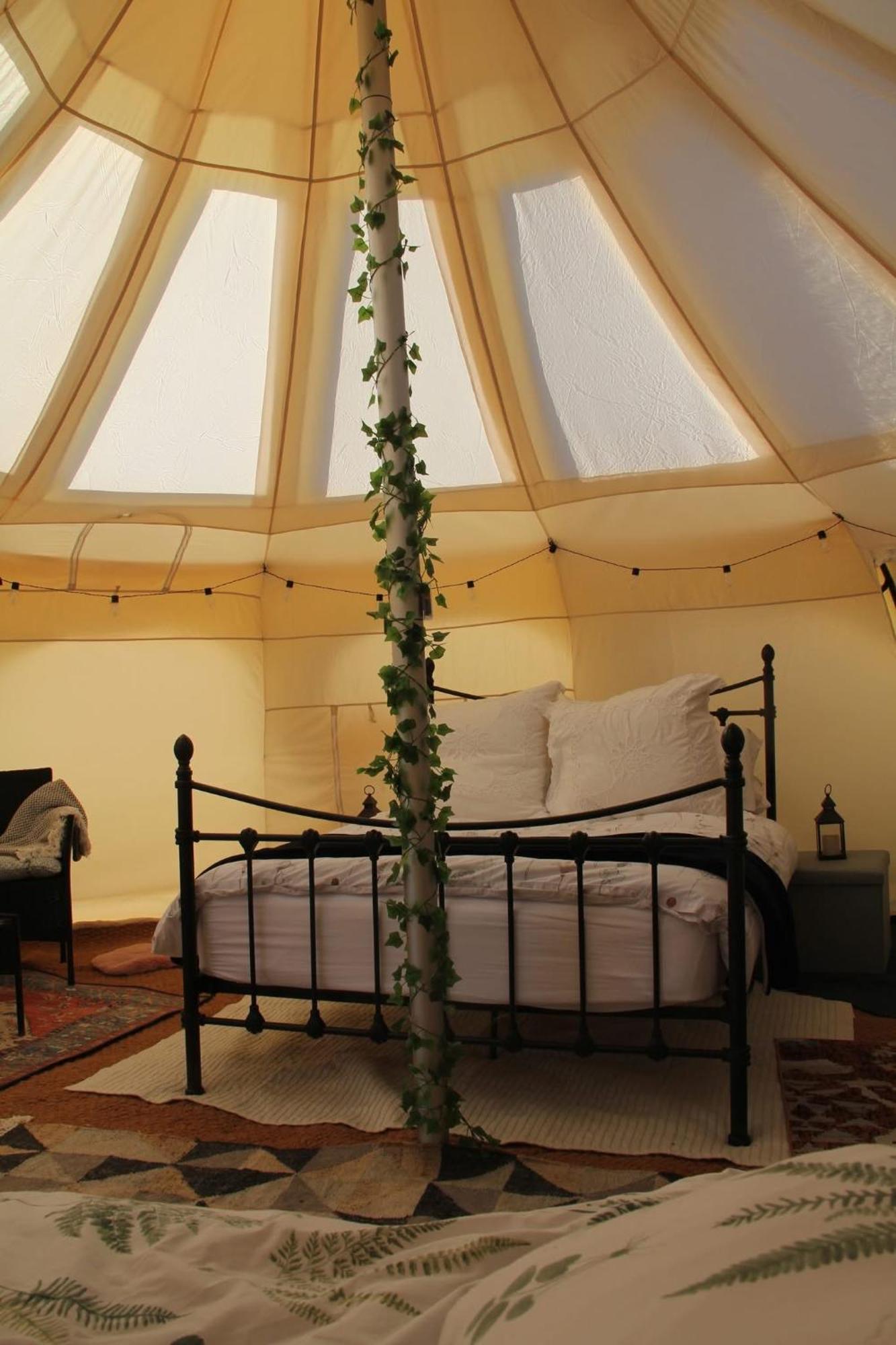 Tal-Y-Fan Farm 6M Stargazer Tent 布里真德 外观 照片